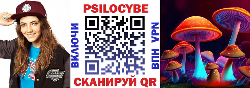 Галлюциногенные грибы мицелий  Пугачёв 